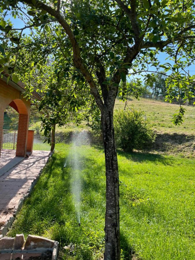 Luxury Villa Arianna Tarano Kültér fotó